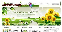 農業網站建設流程及步驟