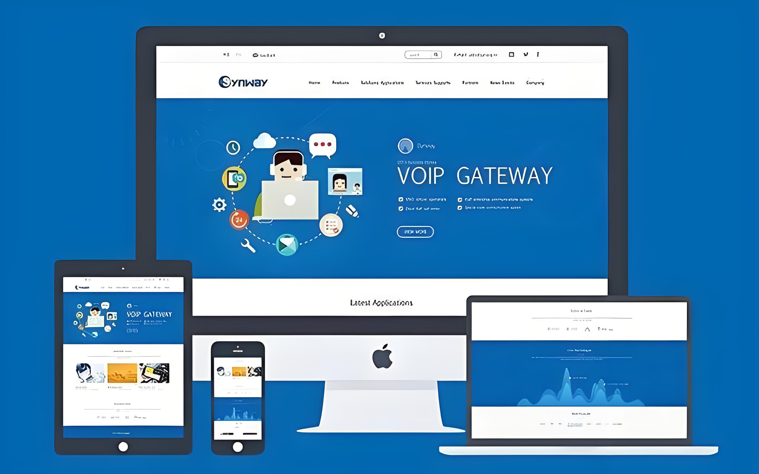 高校門戶網站建設
